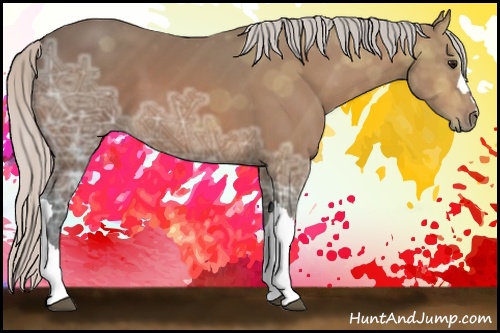 Horse Color: Silver Bay Ice 
