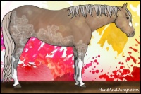 Horse Color:Silver Bay Ice 