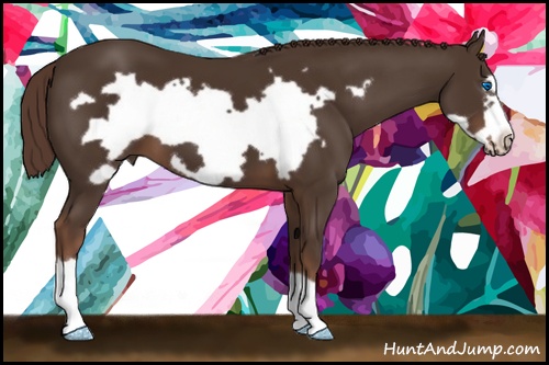 Horse Color: Liver Chestnut Frame 