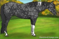 Horse Color:Black Ice Tobiano