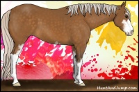 Horse Color:Silver Buckskin Sabino 