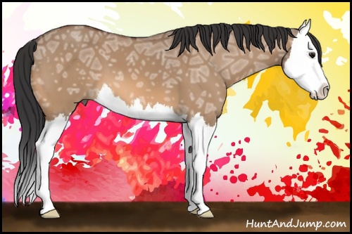Horse Color: Bay Ice Dun Splash 