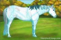 Horse Color:Thunderstruck Brown Sabino 