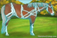 Horse Color:Thunderstruck Silver Bay Sabino 
