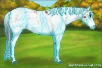 Horse Color:Thunderstruck Bay Sabino 