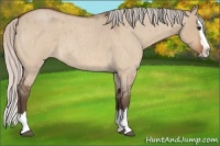 Horse Color:Silver Bay Roan Dun Splash 