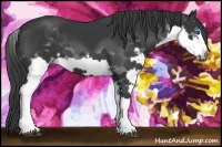 Horse Color:Black Splash Frame 