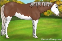 Horse Color:Silver Brown Splash 