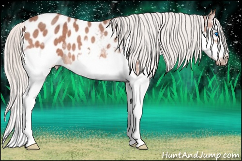 Horse Color: Silver Brown Roan Splash Frame Blanket 