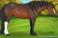 Horse Color:Brown 