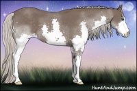 Horse Color:Silver Blue Roan Splash 