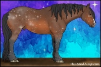 Horse Color:ERROR: UNKNOWN ANOMALY