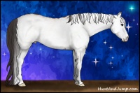 Horse Color:White Spotted Buckskin 