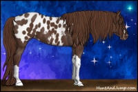 Horse Color:Liver Chestnut Blanket 