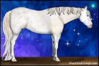 Horse Color:Perlino Splash Blanket 