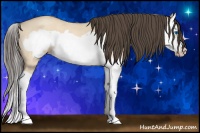 Horse Color:Amber Champagne Roan Dun Splash Frame 