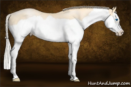 Horse Color:Palomino Roan Pearl Splash Frame Rabicano