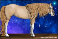 Horse Color:Chestnut Pearl Sabino Splash 