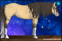 Horse Color:Buckskin Dun Sabino Splash 