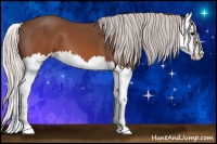 Horse Color:Silver Brown Splash 