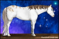 Horse Color:Bay Dun Splash Blanket 
