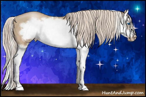 Horse Color: Chocolate Palomino Pearl Sabino Splash Frame 