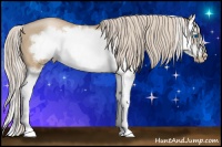 Horse Color:Chocolate Palomino Pearl Sabino Splash Frame 