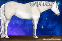 Horse Color:Silver Smoky Creme Dun Splash 