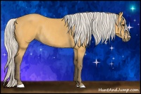 Horse Color:Silver Buckskin Rabicano 