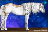 Horse Color:Silver Bay Dun Sabino Splash Frame 