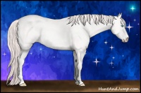 Horse Color:Smoky Creme 