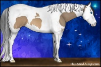 Horse Color:Brown Dun Splash Tobiano 