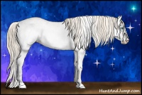 Horse Color:White Spotted Smoky Creme Near Leopard 