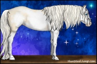 Horse Color:Palomino Pearl Sabino Splash Frame 