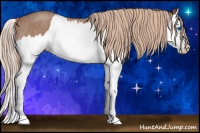 Horse Color:Red Roan Splash 