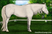 Horse Color:Smoky Creme 