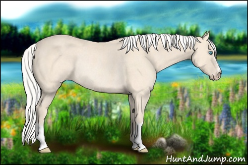 Horse Color: Silver Perlino Rabicano 