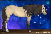 Horse Color:Buckskin Dun 