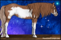 Horse Color:Chestnut Sabino Splash Frame 