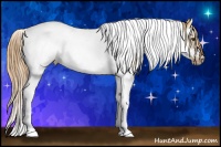 Horse Color:Red Dun Sabino Splash Tobiano Frame 
