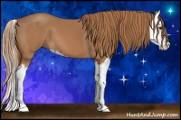Horse Color:Chestnut Sabino Splash 