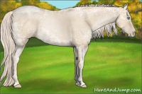 Horse Color:Palomino Ice Pearl 