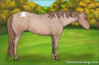 Horse Color:Brown Pearl Varnish 