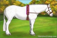 Horse Color:Gray Silver Amber Cream Champagne Roan Dun Splash Tobiano Frame Leopard Rabicano 