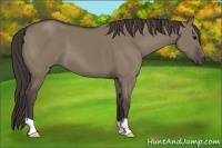 Horse Color:Smoky Grullo 