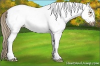 Horse Color:White Spotted Chocolate Palomino Roan Frame 