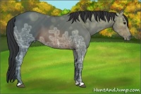 Horse Color:Brown Ice 