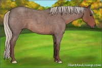 Horse Color:Silver Blue Roan 