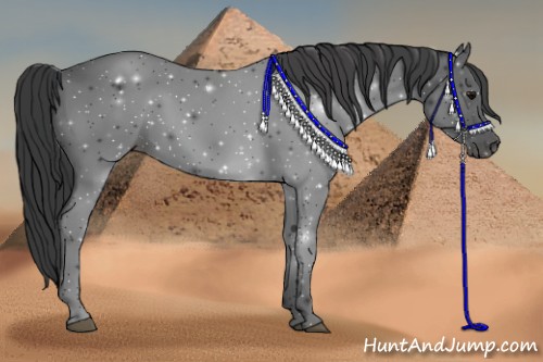 Horse Color: ERROR: UNKNOWN ANOMALY
