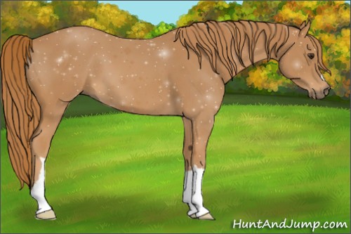 Horse Color: ERROR: UNKNOWN ANOMALY